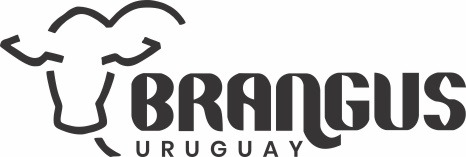 Ganadera Brangus