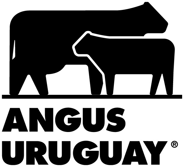 ABERDEEN ANGUS