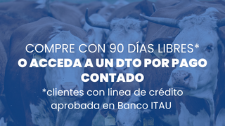 Banner Pantalla Uruguay