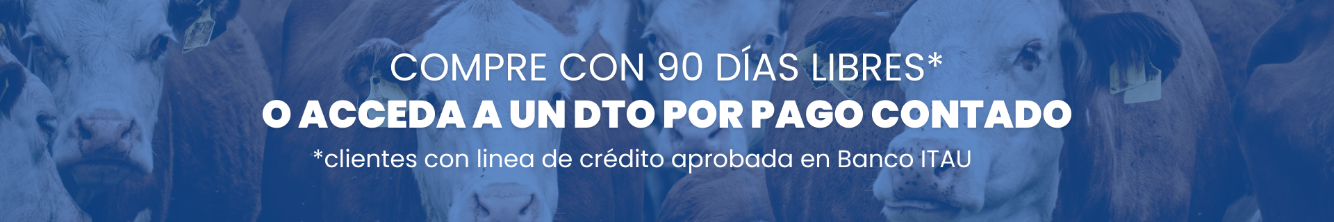Banner Pantalla Uruguay